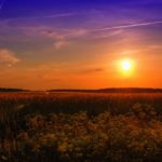 summer-789974_1280