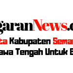Ungaranfooter