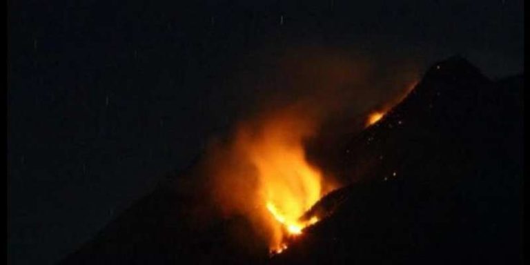 Api Terus Melumat Hutan Sisi Barat Gunung Merbabu