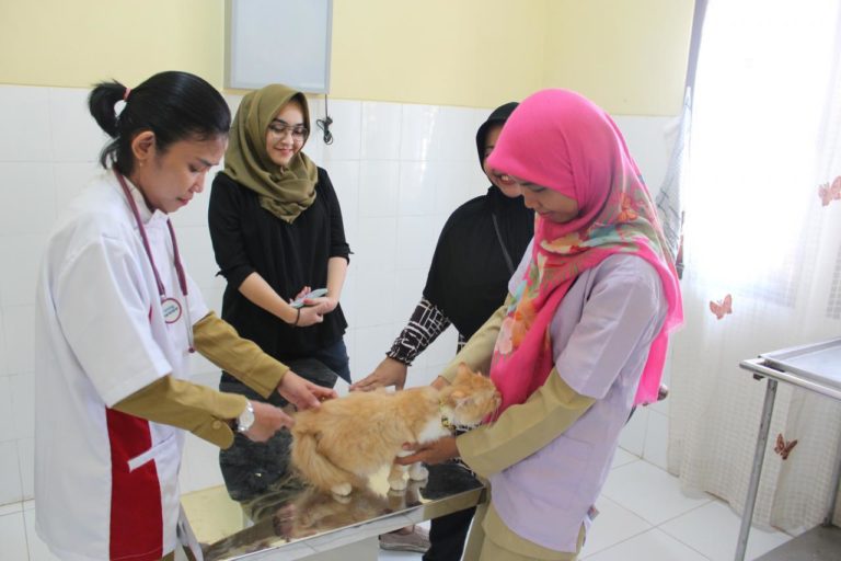 Mari Introspeksi, Rawat Binatang dengan Bijaksana dan Beradab
