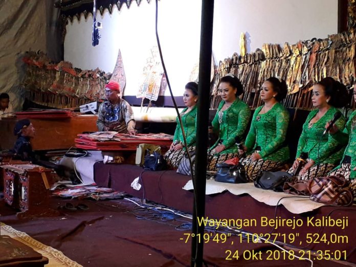 wayang kulit