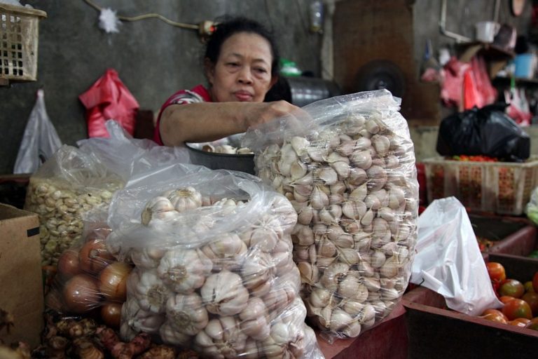 Harga Bawang Putih di Pasar Turun, Daya Beli Kembali Naik