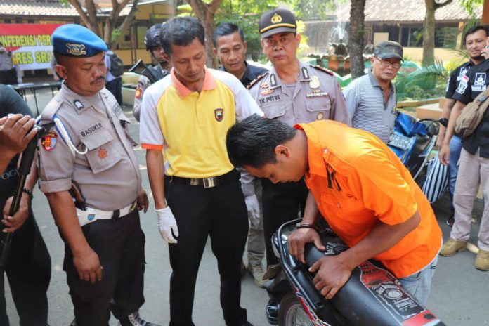 spesialis jok