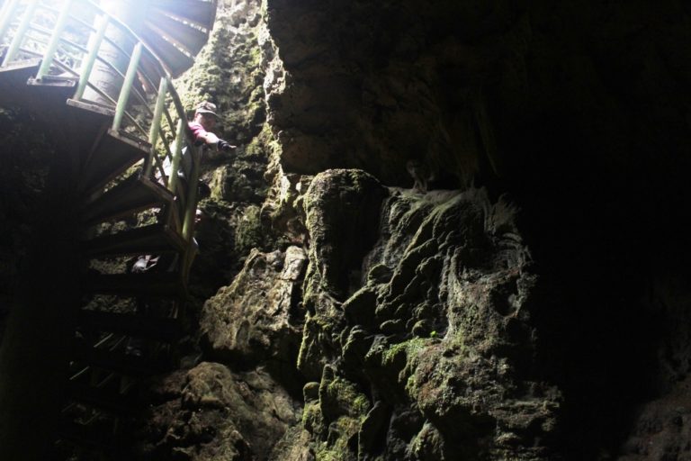 Dinparbud Cek Batu Mirip Kepala Gajah Temuan Wisatawan Jepang
