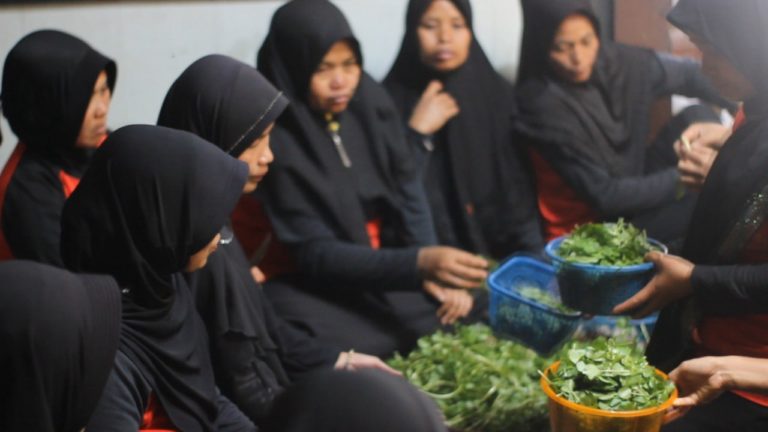 Diversifikasi Kenci Menjadi Keripik Dikembangkan Warga Sumberejo