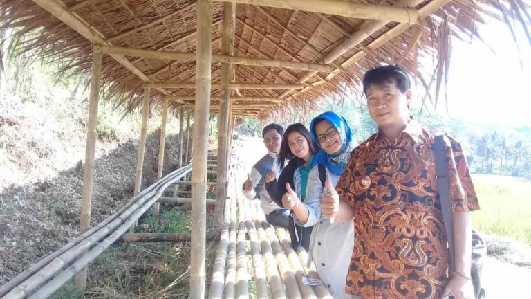 Dilaunching Hari Minggu Besok, Pasar Sawahan Digelar di Area Persawahan