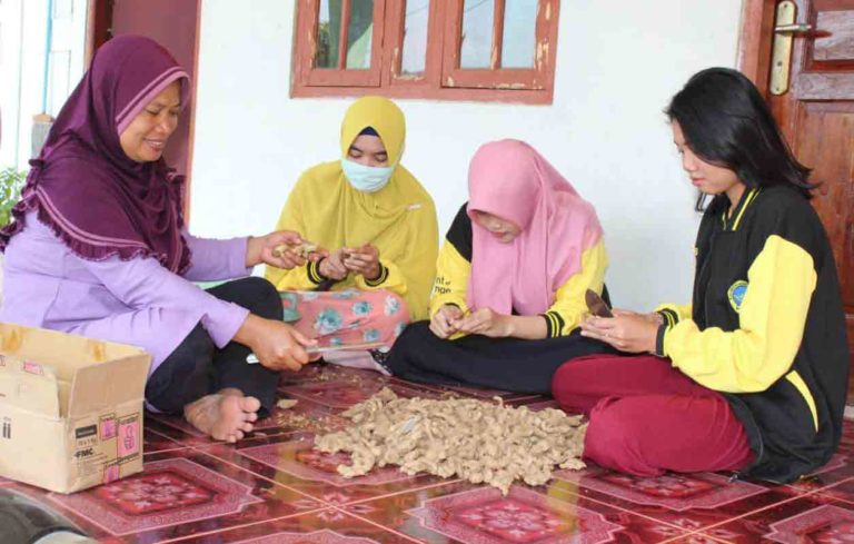 KKN UNW di Sidoharjo Susukan Ubah Ampas Jahe Produksi Jamu Jadi Cookies