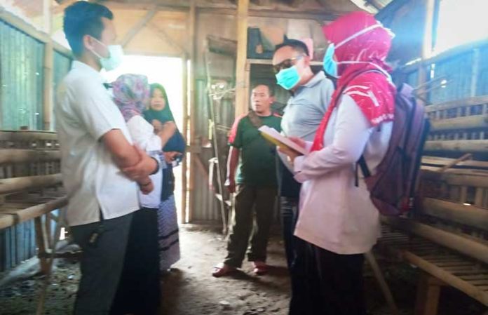 flu burung tegal