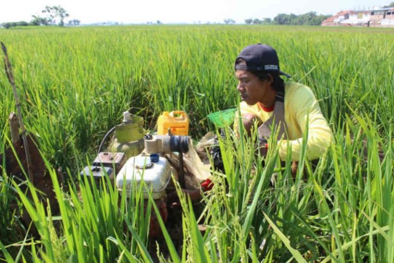 BBM untuk Petani Dihapus, Konversi ke BBG Dikhawatirkan Ricuh
