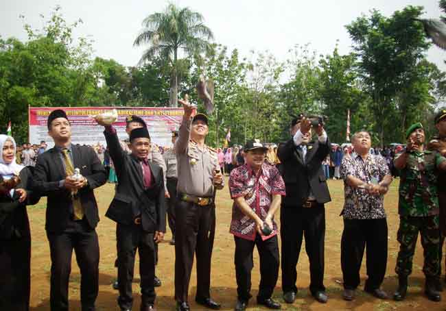 lepas-merpati