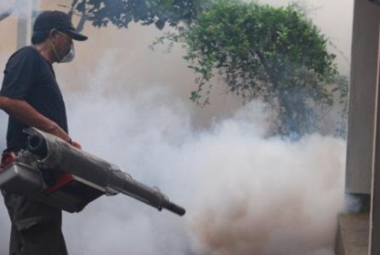 KLB DBD di Temanggung Ratusan Orang Dirawat, Satu Orang Meninggal