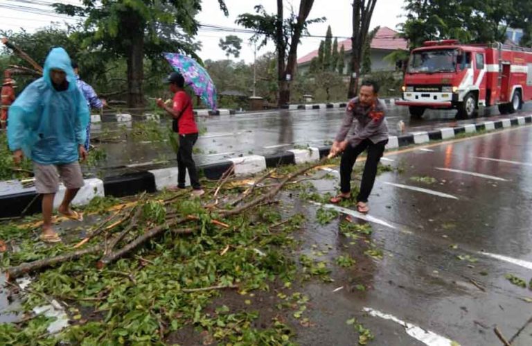 Pohon Tumbang Timpa Mobil Macetkan Jalan, AKP Mudjiyono Turun Langsung Bersihkan Dahan    