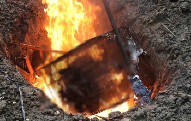Positif Beta Corona, Ratusan Kelelawar Pasar Depok Solo Dimusnahkan