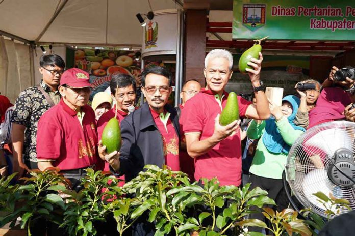 festival-buah1