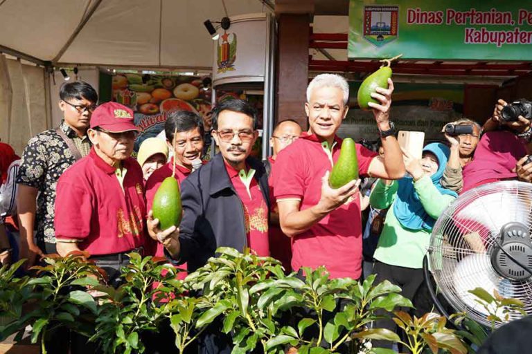 Buka Festival Buah di Ungaran, Ganjar Banggakan Rambutan Tembus Pasar Eropa