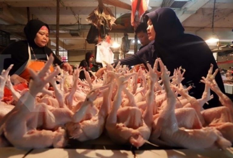 Mendekati Idul Fitri Harga Daging Ayam Semakin Melambung