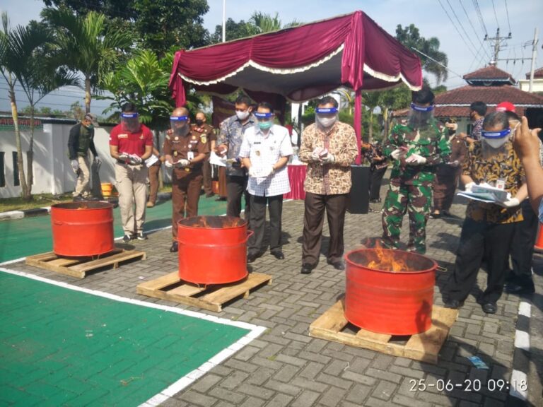 Tren Kasus Narkoba Tinggi,  Kejari Musnahkan Puluhan Gram Sabu dan Ganja