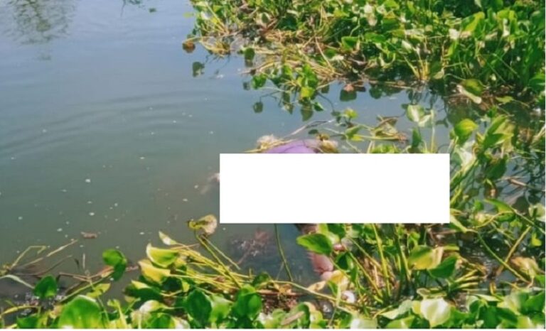 Mayat Wanita Bercelana Legging Ditemukan Mengambang di Sungai Tuntang