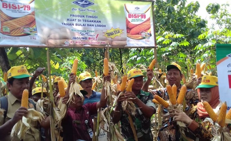 Desa Boto Diusulkan Jadi Lokasi Program Desa Pertanian Keluarga