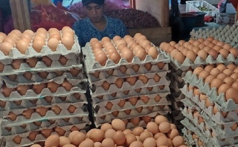 Disnak Keswan Jateng Bagikan Ribuan Telur Bersertifikat Bebas Mikroba