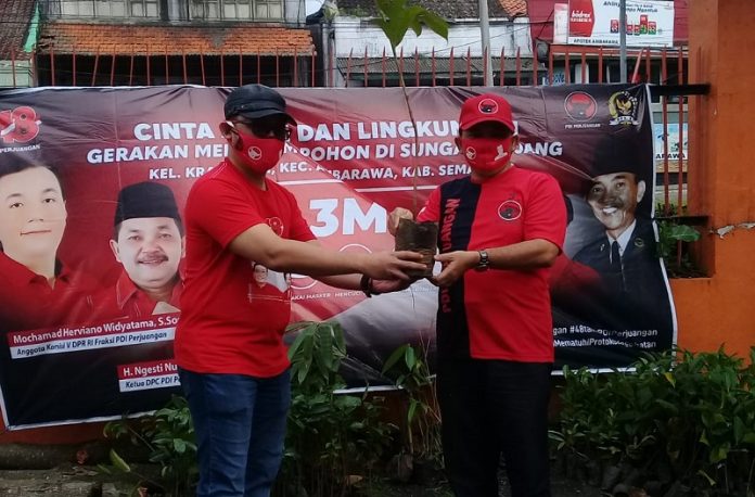 tanam pohon