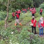 tanam sungai