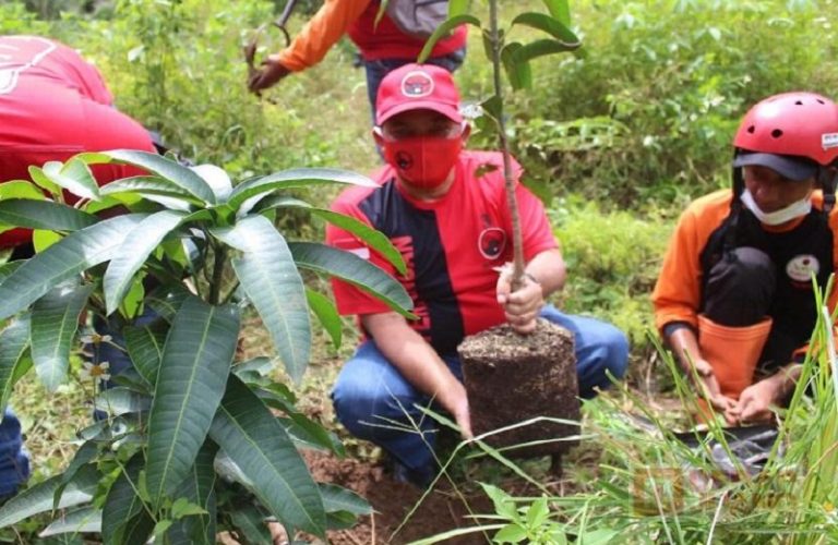 Jelang Pelantikan Bupati, Ngesti Nugraha Tanam Bibit Pohon dan Resik-resik Kali