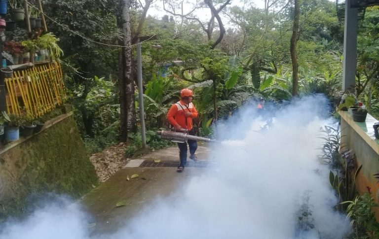 Nyamuk Berkembang di Belukar, Puluhan Warga Langensari Terserang Chikungunya