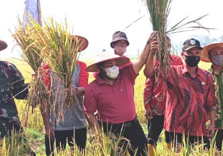 Kabupaten Semarang Surplus Beras 5.996 Ton, Jateng Tolak Impor Beras