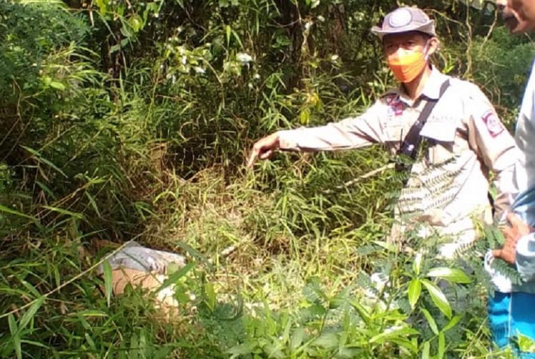 Diduga Terjatuh 8 Meter, Warga Duren Sumowono Meninggal di Bawah Alpukat