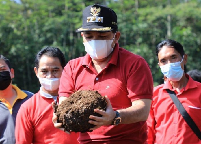 bupati porang1