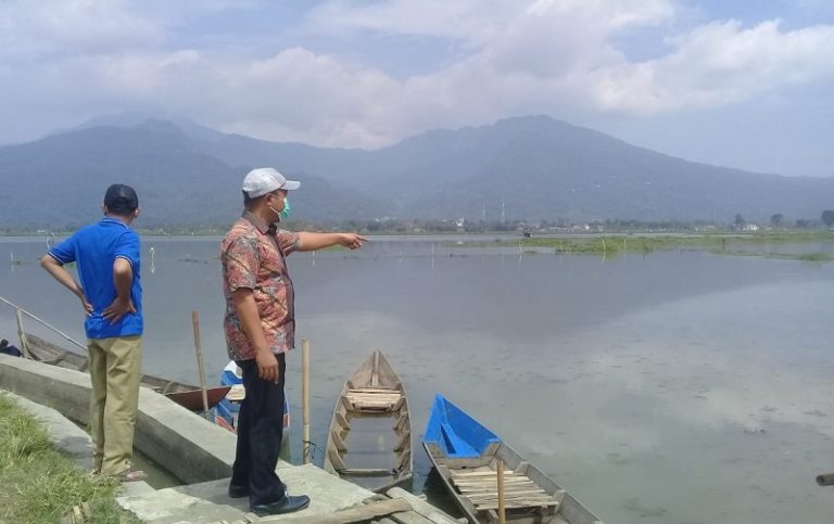 Kasihan!! Dam Ditutup BBWS: Ratusan Hektar Sawah Terendam, Petani Rawa Pening Rugi Puluhan Miliar