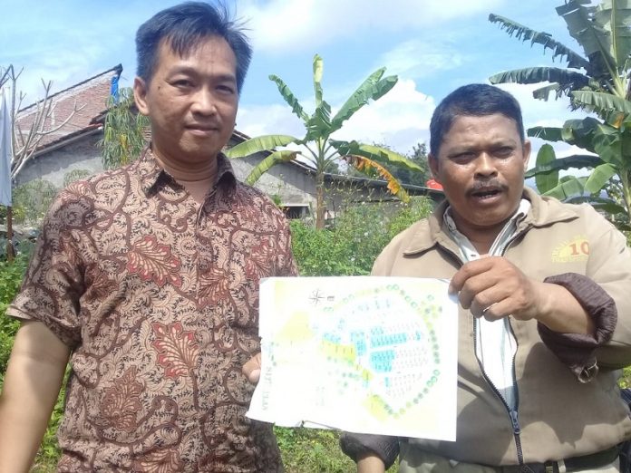 sapen site