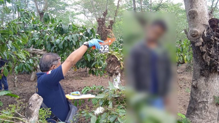 Stres Ditinggal Istri ke Luar Negeri, Gantung Diri di Perkebunan Kopi Bawen