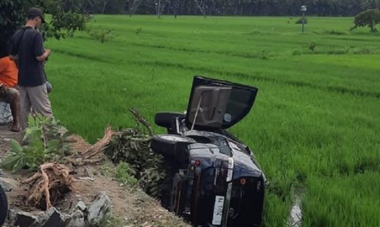 Fortuner Terjun ke Sawah Tewaskan Pengemudi, Ini Penyebab Fatalnya