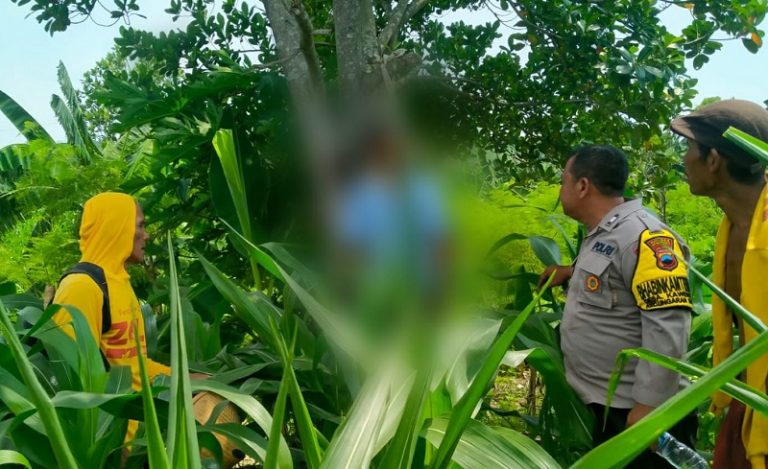 Mak Tratap! Warga Penawangan Pringapus Temukan Pria Gantung Diri