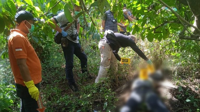 Makjegagik! Pemetik Kopi Temukan Mayat Membusuk di PTPN Bawen