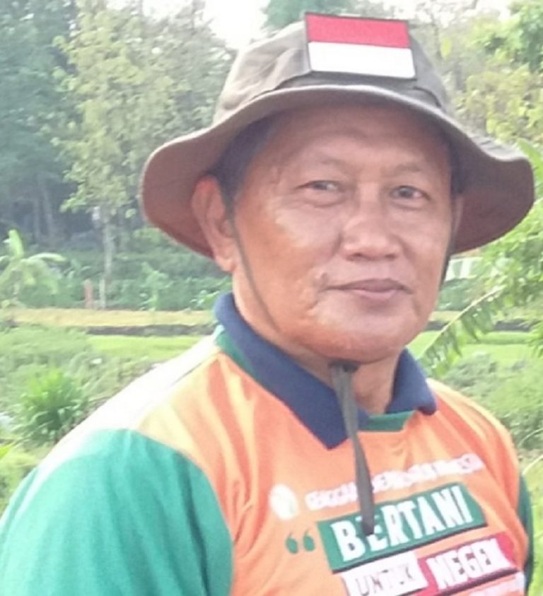 Optimalisasi Lahan Pekarangan Melalui Penerapan Ecofarming pada Budidaya Cabai