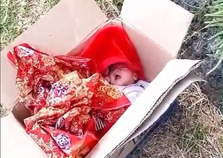 Bayi Perempuan Menggemaskan dalam Kardus Pagi Ini Ditemukan di Harjosari Bawen